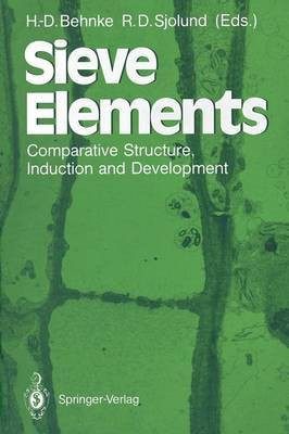 Sieve Elements(English, Paperback, unknown)