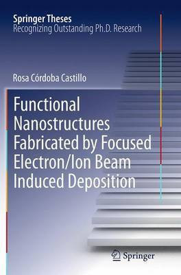 Functional Nanostructures Fabricated by Focused Electron/Ion Beam Induced Deposition(English, Paperback, Cordoba Castillo Rosa)