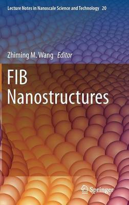 FIB Nanostructures(English, Hardcover, unknown)