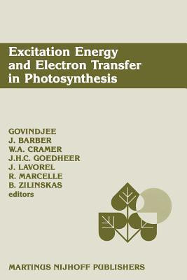 Excitation Energy and Electron Transfer in Photosynthesis(English, Paperback, unknown)
