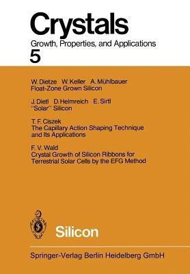 Silicon(English, Paperback, unknown)