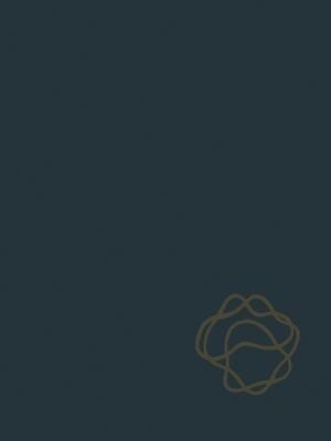 Handbook of Generalized Gas Dynamics(English, Paperback, Benedict Robert P.)