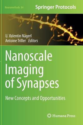 Nanoscale Imaging of Synapses(English, Hardcover, unknown)