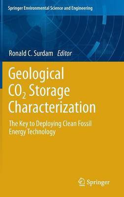 Geological CO2 Storage Characterization(English, Hardcover, unknown)