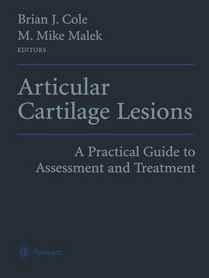 Articular Cartilage Lesions(English, Paperback, unknown)