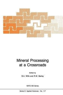 Mineral Processing at a Crossroads(English, Paperback, unknown)