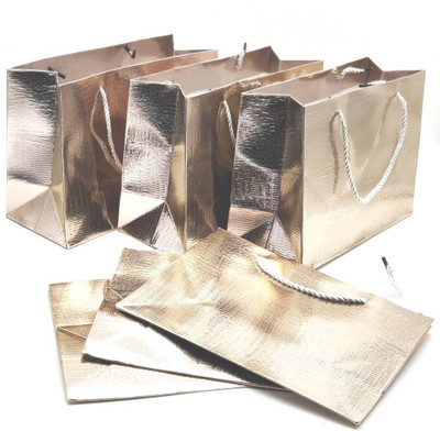 

Satyam Kraft Solid Party Bag(Grey, Pack of 6)