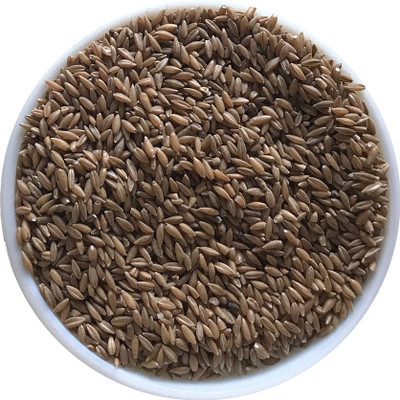 

millet valley DIABETIC FRIENDLY Brown Bamboo Seed Rice (Medium Grain, Unpolished)(800 g)