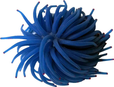 Nibbo A_plant_59 Aquarium Plant Anchor({Plant Anchors1)