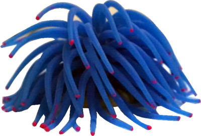 

Buyingbell Aquarium flower Aragonite Unplanted Substrate(Blue)