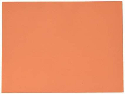 

Oasis Foam Sheets Orange in Color