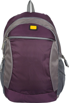 

Roshiaaz Amazing stylish bagpack for all- Best bag for girls/boys/kids/men & women for school/office/travel 700 L Backpack(Blue), Grey;purple