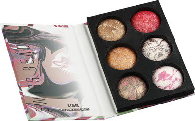 

Swiss Beauty Terra Cotta Multi Blusher(Multicolor)