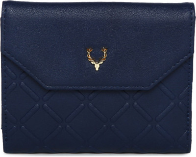 

Allen Solly Casual Blue Clutch