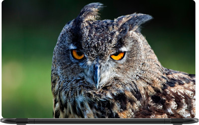 

Lapower Clever Owl Vinyl Laptop Decal 15.6