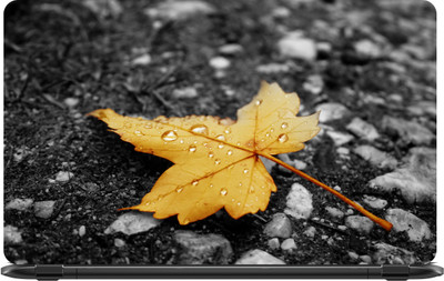 

Lapower Rain Vinyl Laptop Decal 15.6