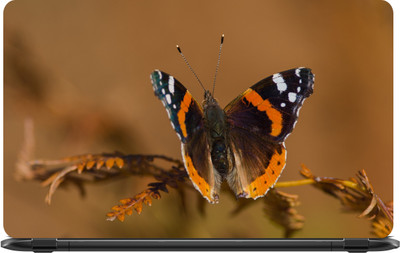 

Lapower Butterfly on Leaves Vinyl Laptop Decal 15.6