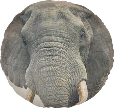 

Deals India Animal 3D print cushion - Elephant (35 cm ) - 35 cm(Multicolor)