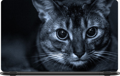 

Lapower Cat Looking at You Vinyl Laptop Decal 15.6