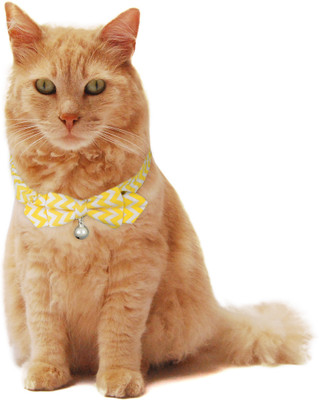 

PUPPY LOVE Strip-on Collar for Cat(Yellow & White