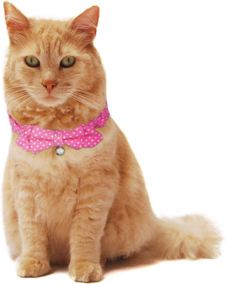 

PUPPY LOVE Strip-on Collar for Cat(Pink