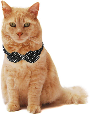 

PUPPY LOVE Strip-on Collar for Cat(Black