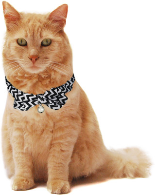 

PUPPY LOVE Strip-on Collar for Cat(White & Black, Multicolor