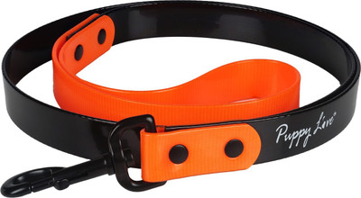 

Puppy love Dog Collar & Leash(, Orange