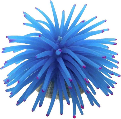 

Busicorp Aragonite Unplanted Substrate(Blue)