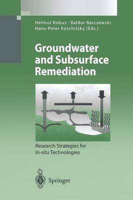 Groundwater and Subsurface Remediation(English, Paperback, unknown)