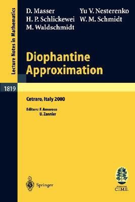 Diophantine Approximation(English, Paperback, Masser David)