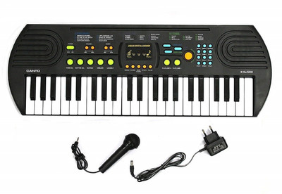 

Bluwings 44Keys Electronic Keyboard Piano with Microphone(Min. Age 5 years)(Black, White)