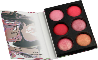 

Swiss Beauty Terra Cotta Blusher-03(Multicolor)