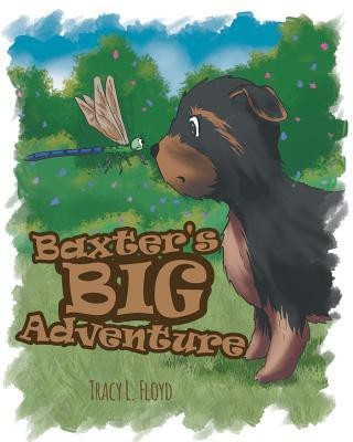 Baxter's Big Adventure(English, Paperback, Floyd Tracy L)
