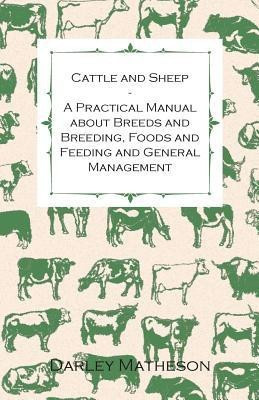Cattle and Sheep - A Practical Manual About Breeds and Breeding, Foods and Feeding and General Management(English, Paperback, Matheson Darley)