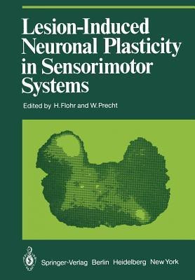 Lesion-Induced Neuronal Plasticity in Sensorimotor Systems(English, Paperback, unknown)