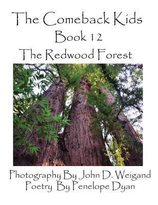 The Comeback Kids, Book 12, the Redwood Forest(English, Paperback, Dyan Penelope)