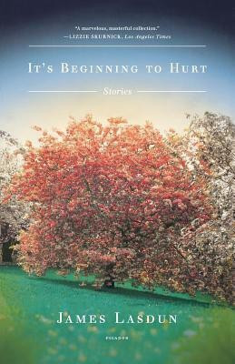It's Beginning to Hurt(English, Paperback, Lasdun James)