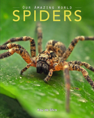 Spiders(English, Paperback, De Silva Kay)