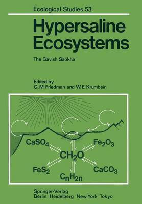 Hypersaline Ecosystems(English, Paperback, unknown)