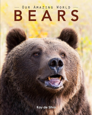 Bears(English, Paperback, Kay De Silva)