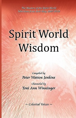 Spirit World Wisdom(English, Paperback, unknown)