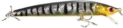 

CBS Soft Bait Plastic Fishing Lure(Pack of 1, Size 10)
