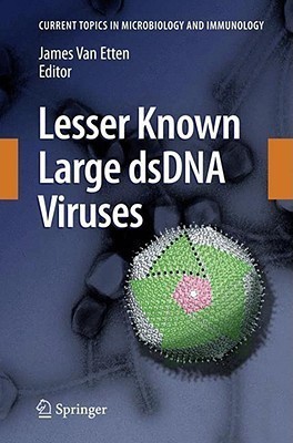 Lesser Known Large dsDNA Viruses(English, Hardcover, unknown)