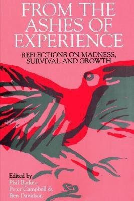 From the Ashes of Experience(English, Paperback, Barker Phil)