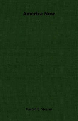 America Now(English, Paperback, Stearns Harold E.)