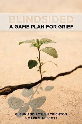 Blindsided(English, Paperback, Crichton Glenn)