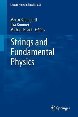 Strings and Fundamental Physics(English, Paperback, unknown)
