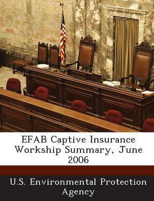 Efab Captive Insurance Workship Summary, June 2006(English, Paperback, unknown)