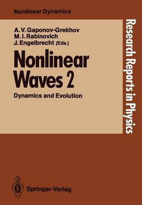 Nonlinear Waves(English, Paperback, unknown)